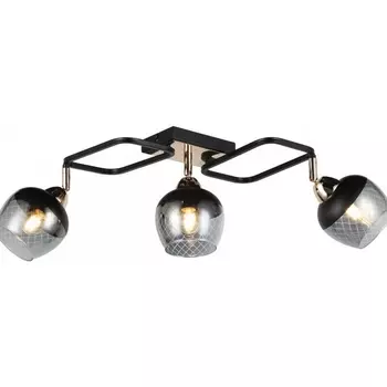 Потолочная люстра Imex MD.19311-3-S-BK+FGD