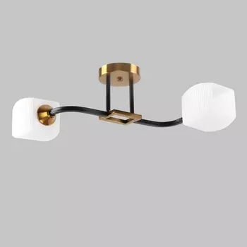 Потолочная люстра Imex MD.52009-2-S-BK+GAB