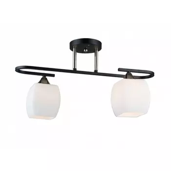 Потолочная люстра Imex MD.5485-2-S-BK+FGD