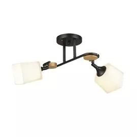 Потолочная люстра Ivetta 66582.01.14.02 (Wedo Light)