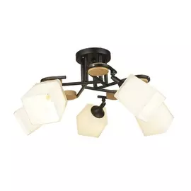 Потолочная люстра Ivetta 66582.01.14.05 (Wedo Light)