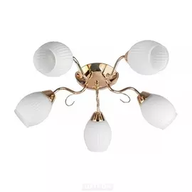 Потолочная люстра Kristin TL3520X-05FG (TopLight)