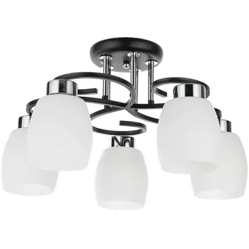 Потолочная люстра Krit A4505PL-5BK (Artelamp)