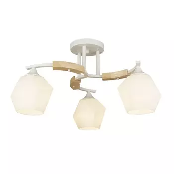 Потолочная люстра Lalio 66587.01.09.03 (Wedo Light)