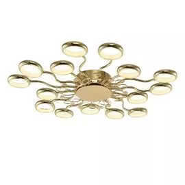 Потолочная люстра LED Dominium 2321-15C (Favourite)