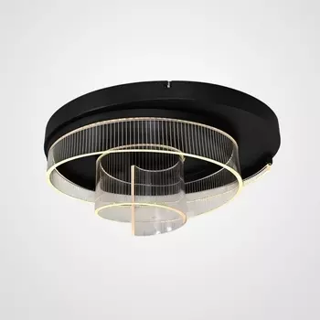 Потолочная люстра LED Riven Black D50 By ImperiumLoft Riven01 314527-26