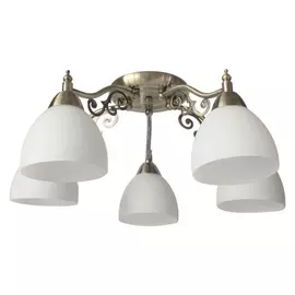 Потолочная люстра TopLight Lora TL7371X-05AB