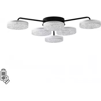 Потолочная люстра Lumion Didana 8236/6CL черный, металл/акрил с пультом ДУ LED 85W 3000-6000К 220V