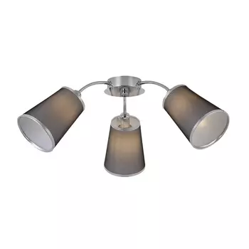 Потолочная люстра Evoluce Maleonte SLE103002-03