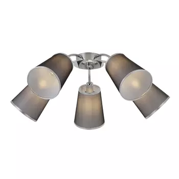 Потолочная люстра Evoluce Maleonte SLE103002-05