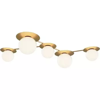 Потолочная люстра Maytoni Star sky MOD291CL-05BS