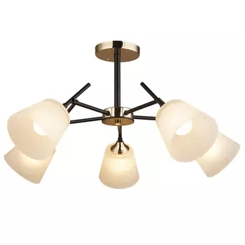 Потолочная люстра MD.1253-5-S BK+FGD (Imex)