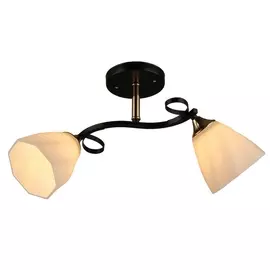 Потолочная люстра MD.3215-2-S BK (Imex)