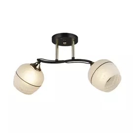 Потолочная люстра Modi 66638.01.69.02 (Wedo Light)