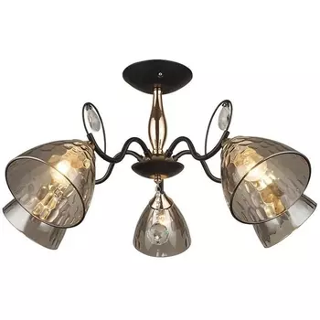 Потолочная люстра Wedo Light Montello 66669.01.69.05