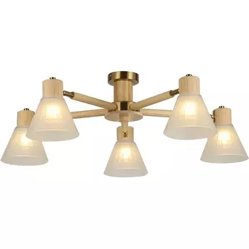 Потолочная люстра на штанге Arte Lamp A4096PL-5BR