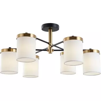 Потолочная люстра на штанге Arte Lamp Modello A4099PL-6BK