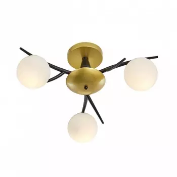 Потолочная люстра на штанге Arte Milano 273408/3 BK/GD (плафоны шарики)