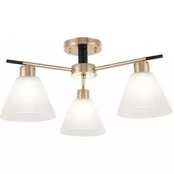 Потолочная люстра на штанге Arte Milano Napoli 322119/3 FG+BK