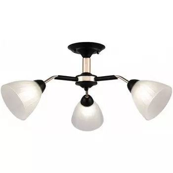 Потолочная люстра на штанге Arte Milano Napoli 324108/3 BK+FG