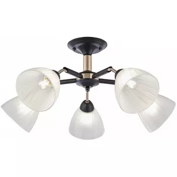 Потолочная люстра на штанге Arte Milano Napoli 324108/5 BK+FG