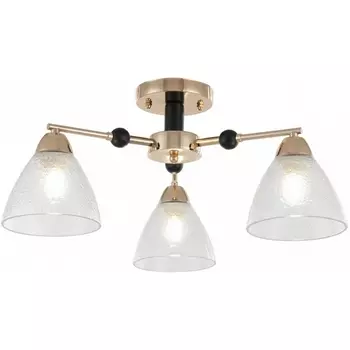 Потолочная люстра на штанге Arte Milano Napoli 324119/3 FG+BK