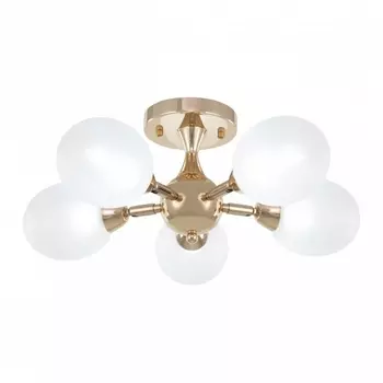 Потолочная люстра на штанге Arte Milano Napoli-2420 332420/5 FGD