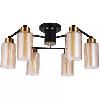 Потолочная люстра на штанге Arte Lamp Leo A7027PL-6BK