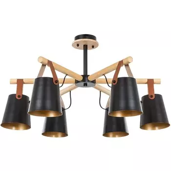 Потолочная люстра на штанге Arte Lamp Thomas A7032PL-6BK