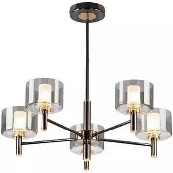 Потолочная люстра на штанге Citilux Elan CL241151