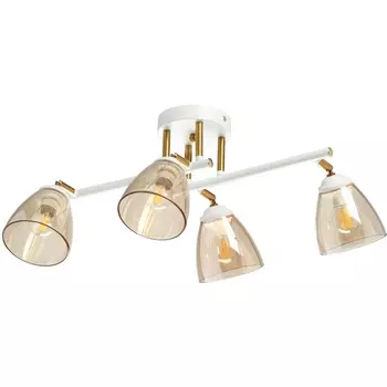 Потолочная люстра на штанге DeMarkt Тетро 673017504