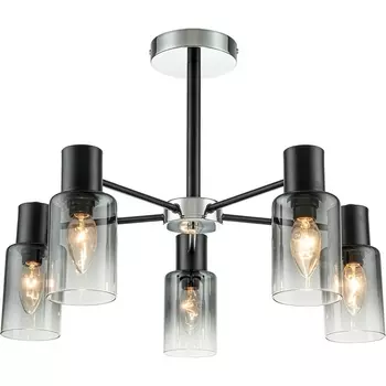 Потолочная люстра на штанге Diversity Escada 2120/5P E14*40W Black