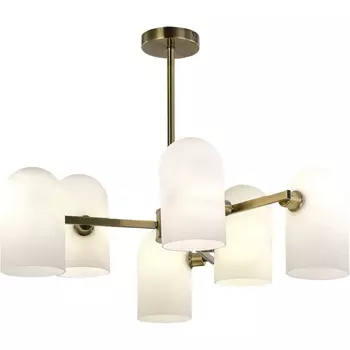 Потолочная люстра на штанге Evoluce Nobilia SLE1047-302-06