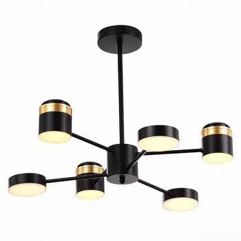 Потолочная люстра на штанге Evoluce Tezze SLE6007-402-06