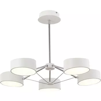 Потолочная светодиодная люстра с пультом управления на штанге Evoluce Valle SLE6005-502-05