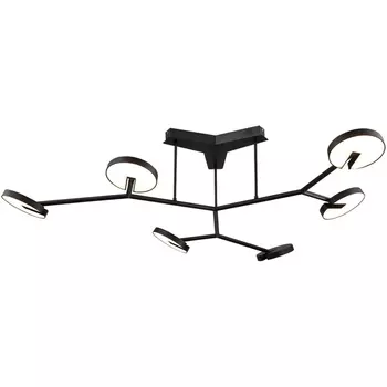 Потолочная люстра на штанге Favourite Paritet 4401-6C