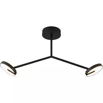 Потолочная светодиодная люстра на штанге Favourite Paritet 4401-2C