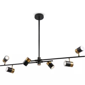 Потолочная люстра на штанге Freya Enzo FR5201PL-06B