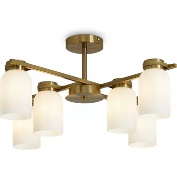 Потолочная люстра на штанге Freya Kamelia FR5446PL-06BS