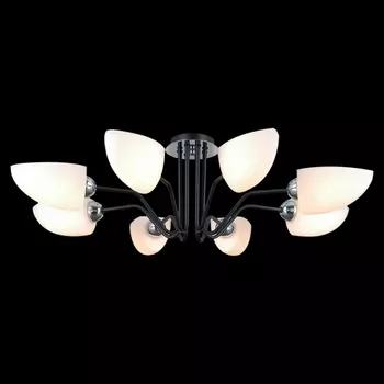 Потолочная люстра на штанге ILLUMICO IL0448-8CSQ-79 BK