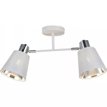 Потолочная люстра на штанге ILLUMICO IL6116-2COU-79 WH CR Abelie