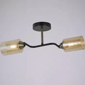 Потолочная люстра на штанге ILLUMICO IL8148-2COU-79 BK BR Bice