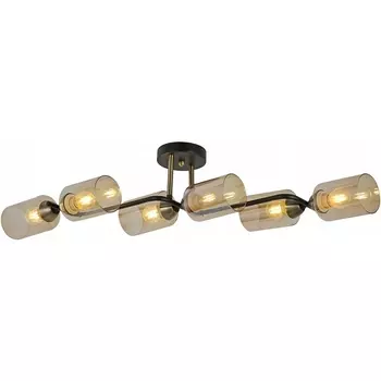Потолочная люстра на штанге ILLUMICO IL8148-6COU-79 BK BR