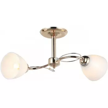 Потолочная люстра на штанге Imex MD.0017-2-S-FGD