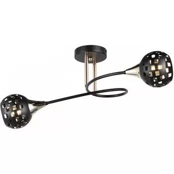 Потолочная люстра на штанге Imex MD.19074-2-S-BK+FGD