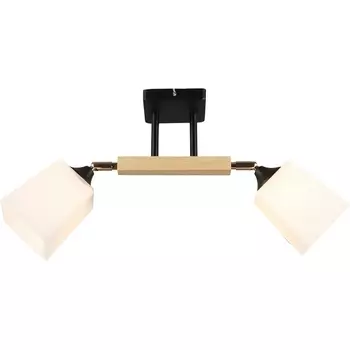 Потолочная люстра на штанге Imex MD.4720-2-S BK+FGD