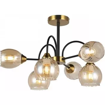 Потолочная люстра на штанге Imex MD.51831-6-S-BK+BR