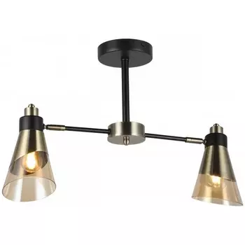 Потолочная люстра на штанге Imex MD.51902-2-S-BK+AB