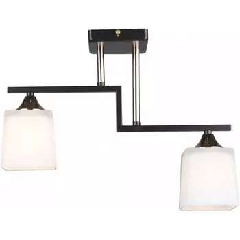 Потолочная люстра на штанге Imex MD.5702-2-S-COFFEE+FGD