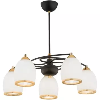 Потолочная люстра на штанге Imex MD.8388-5-P-BK